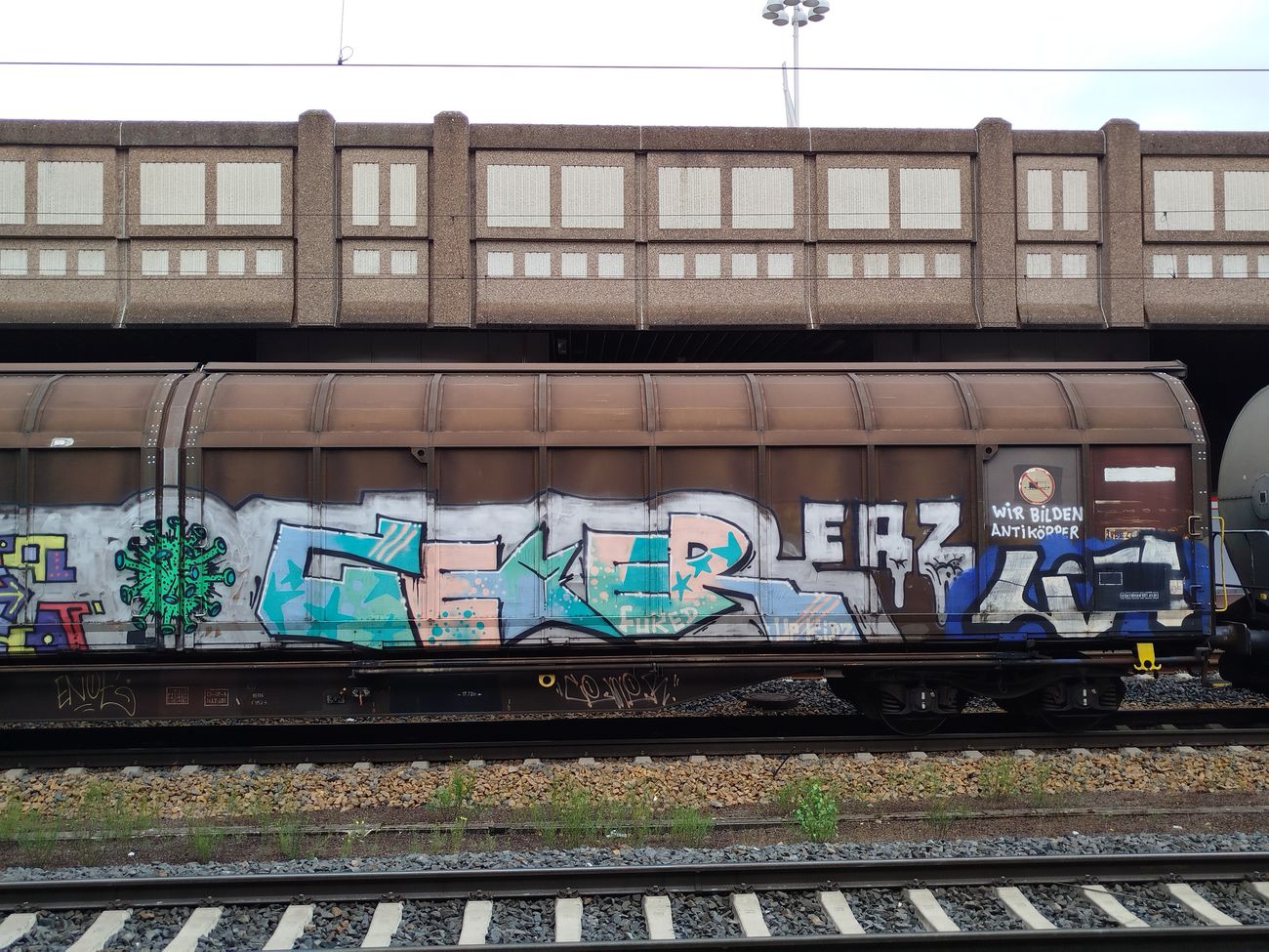 Photo #246110 by nice