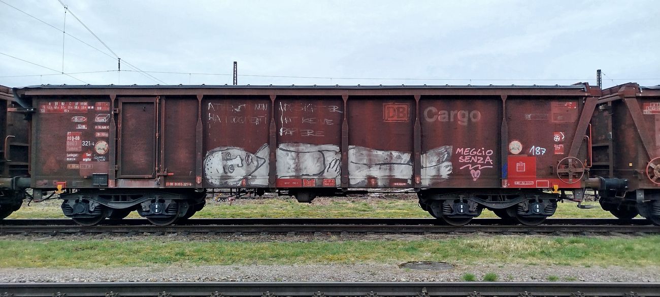 Photo #244616 by nice