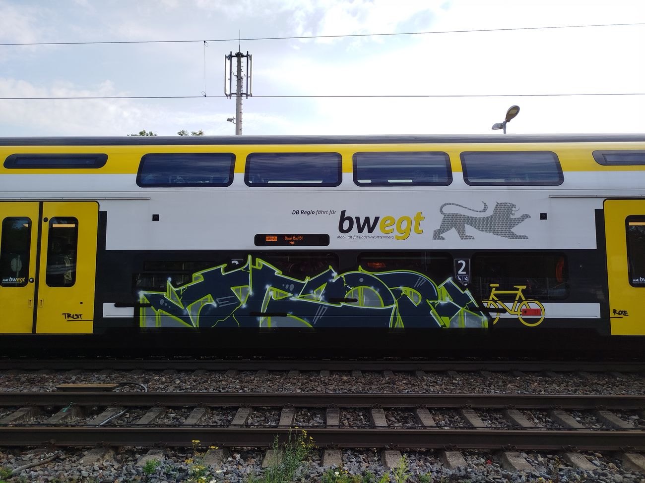 Photo #246121 by nice