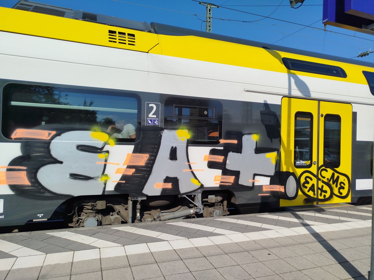 Photo #246119 by nice