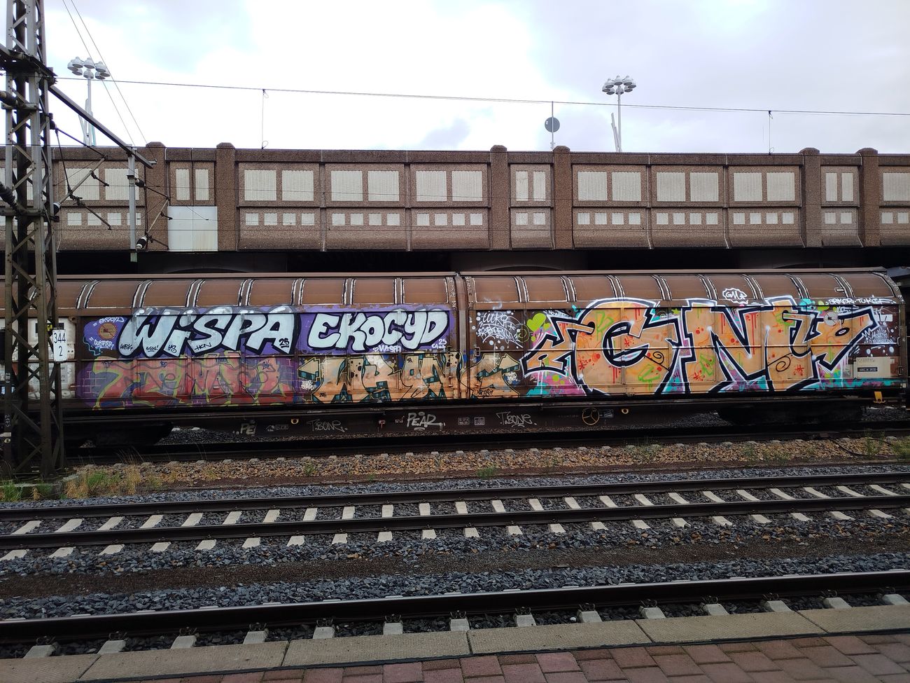 Photo #246111 by nice
