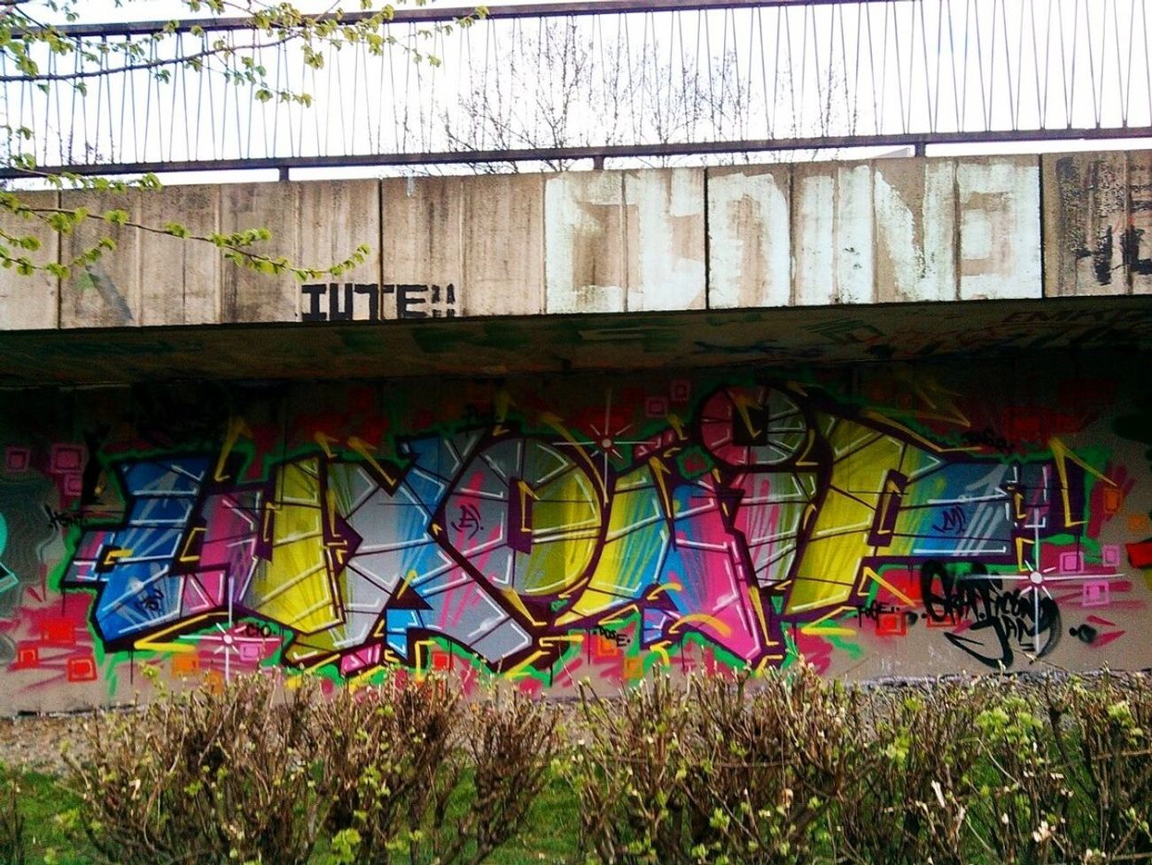 Photo #149767 by oniph
