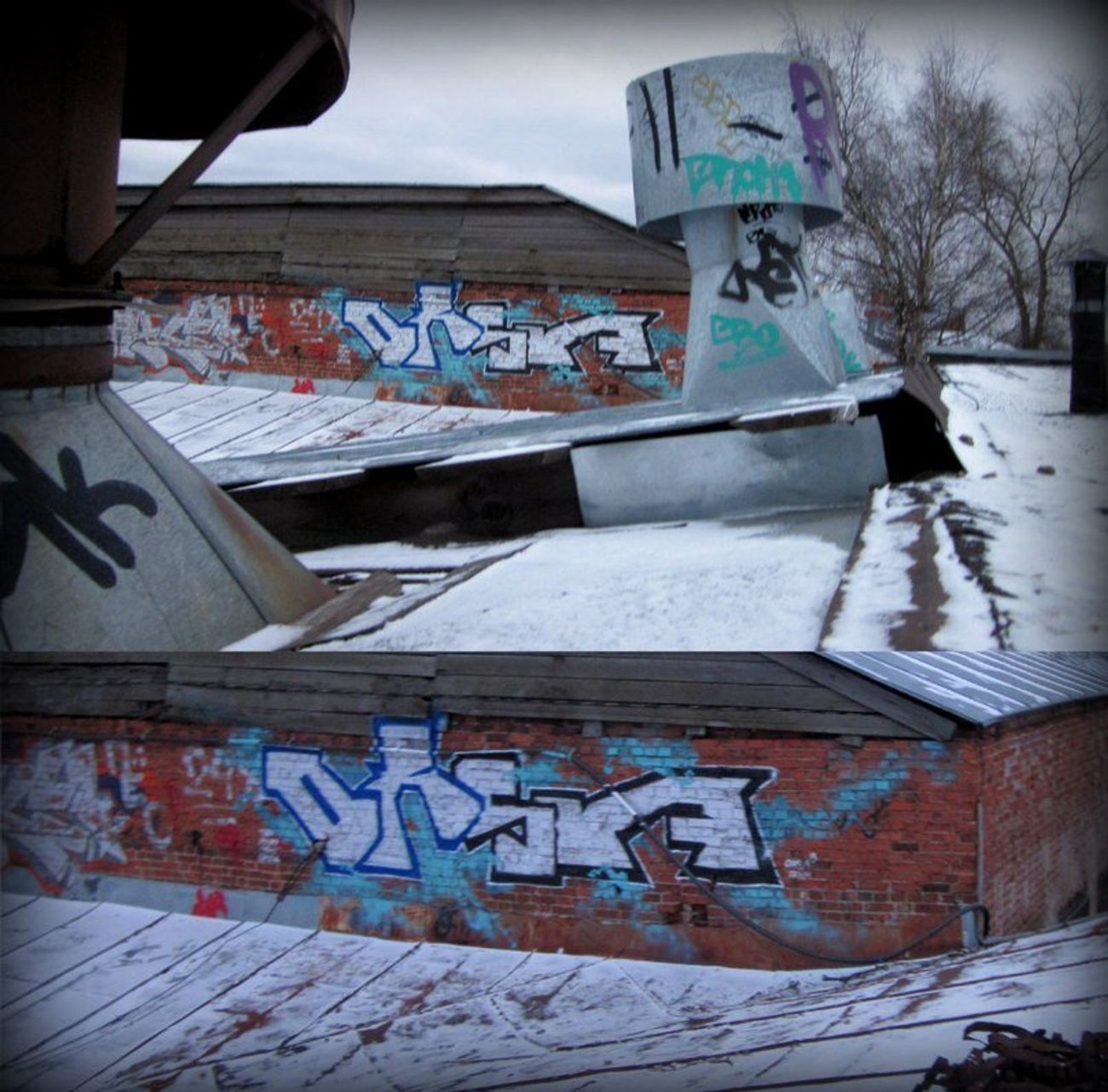 Photo #60015 by orsa