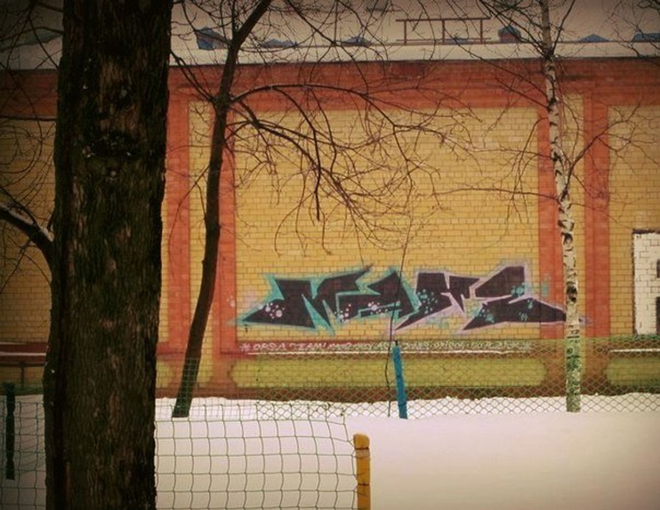 Photo #61798 by orsa