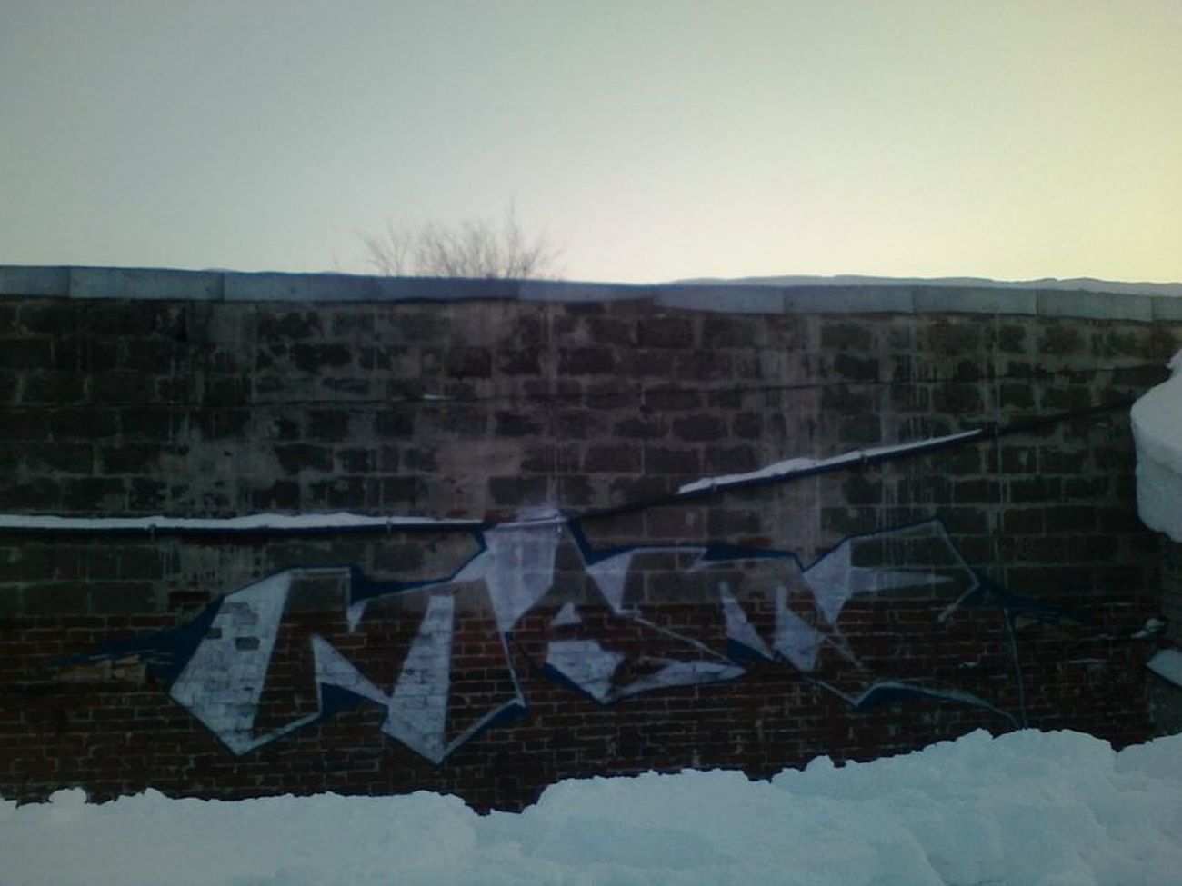 Photo #64564 by orsa