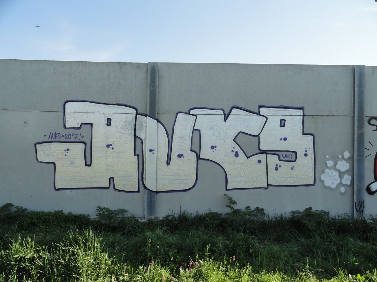 Photo #207482 by pannonian