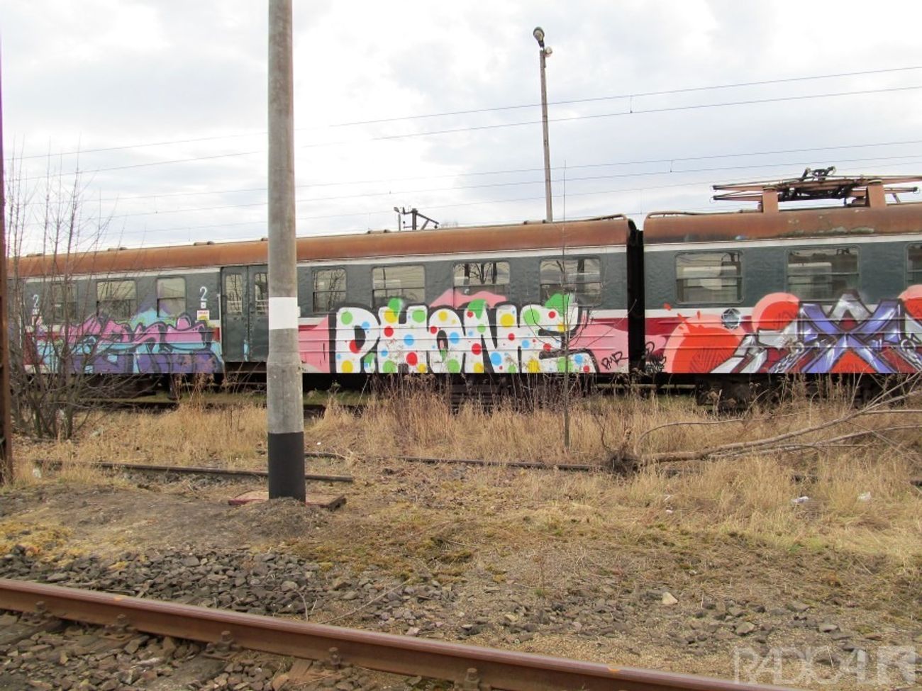 Photo #161035 by polandtrains