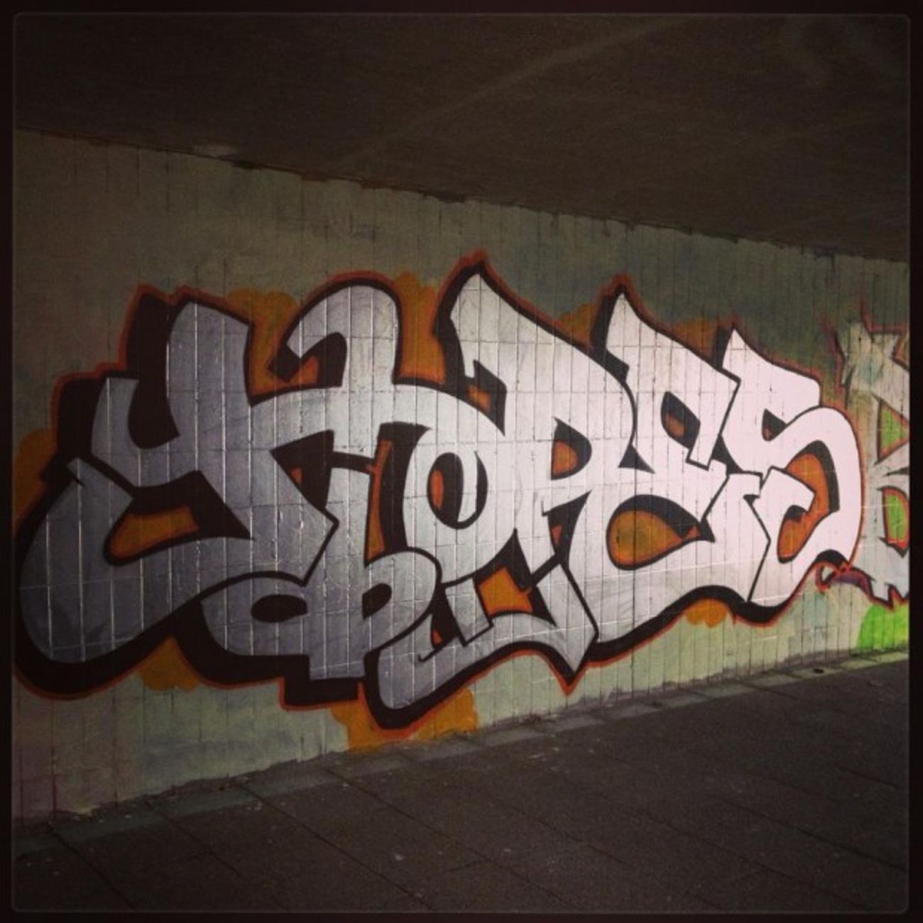 Photo #15542 by renOsepoH