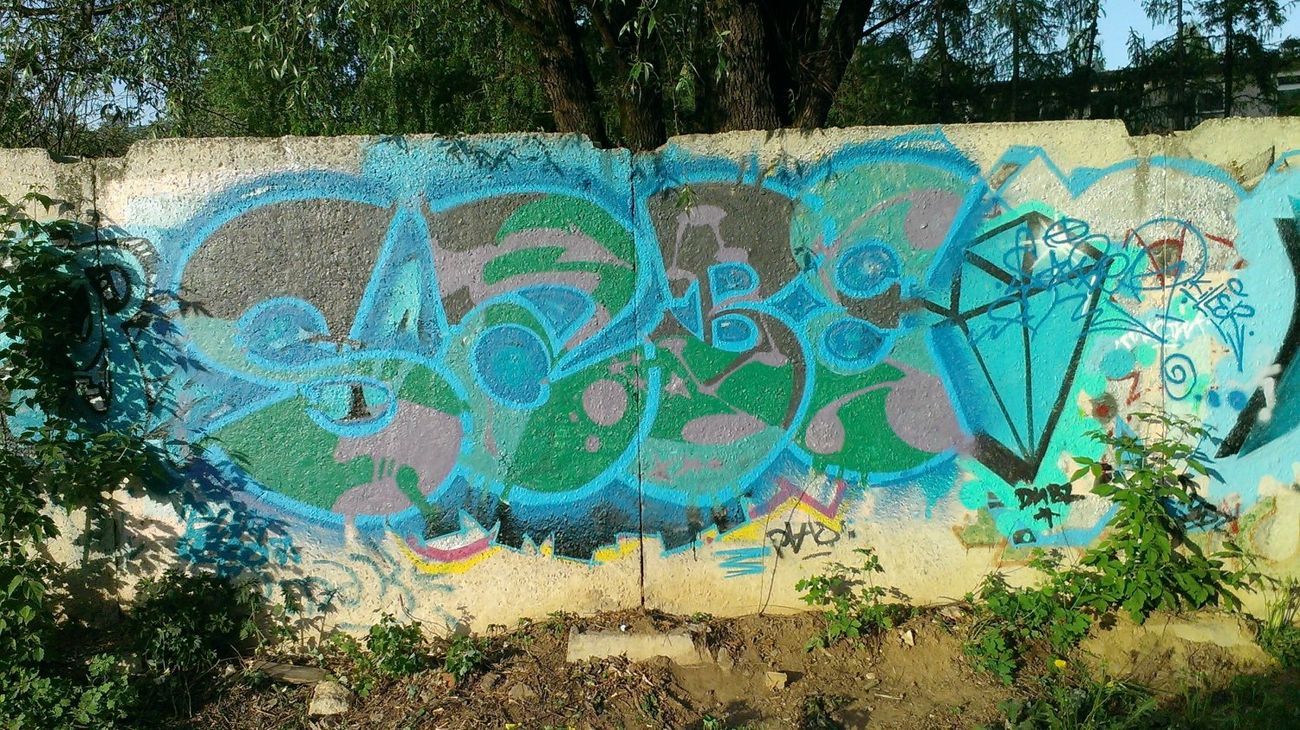 Photo #107930 by sabeK