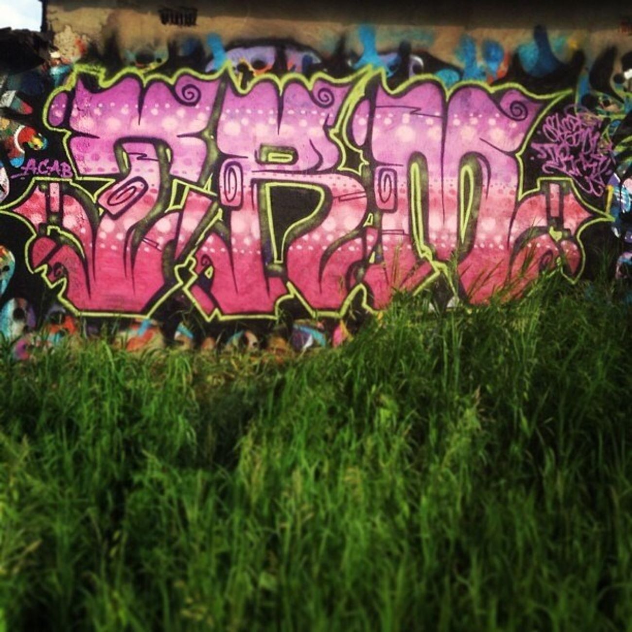 Photo #166833 by spek1trmcrew