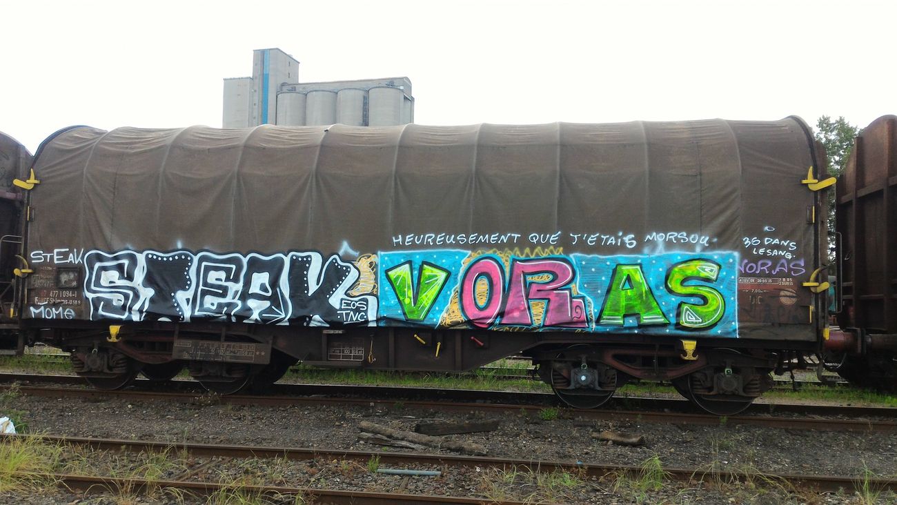 Photo #190096 by strasbourgraffiti