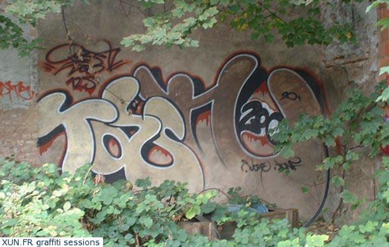 Photo #88124 by strasbourgraffiti