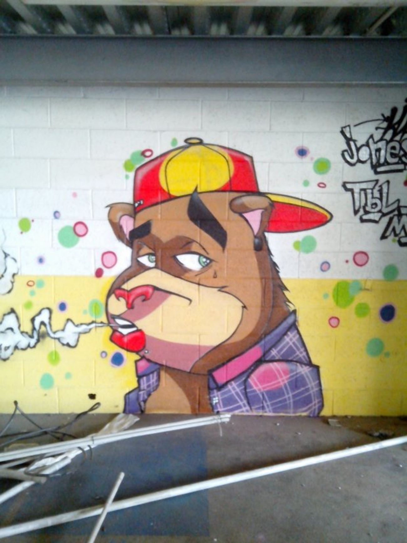 Photo #93795 by strasbourgraffiti