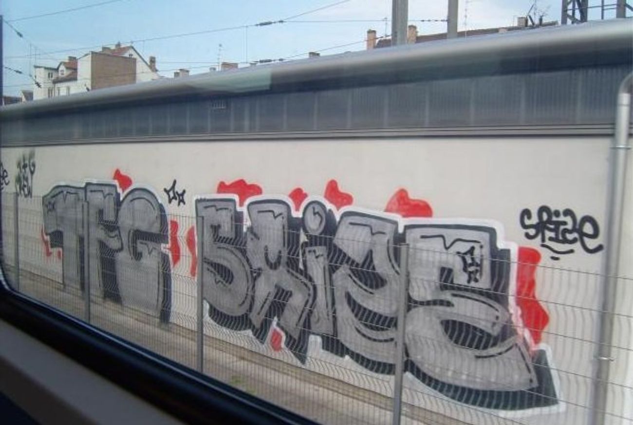 Photo #100107 by strasbourgraffiti