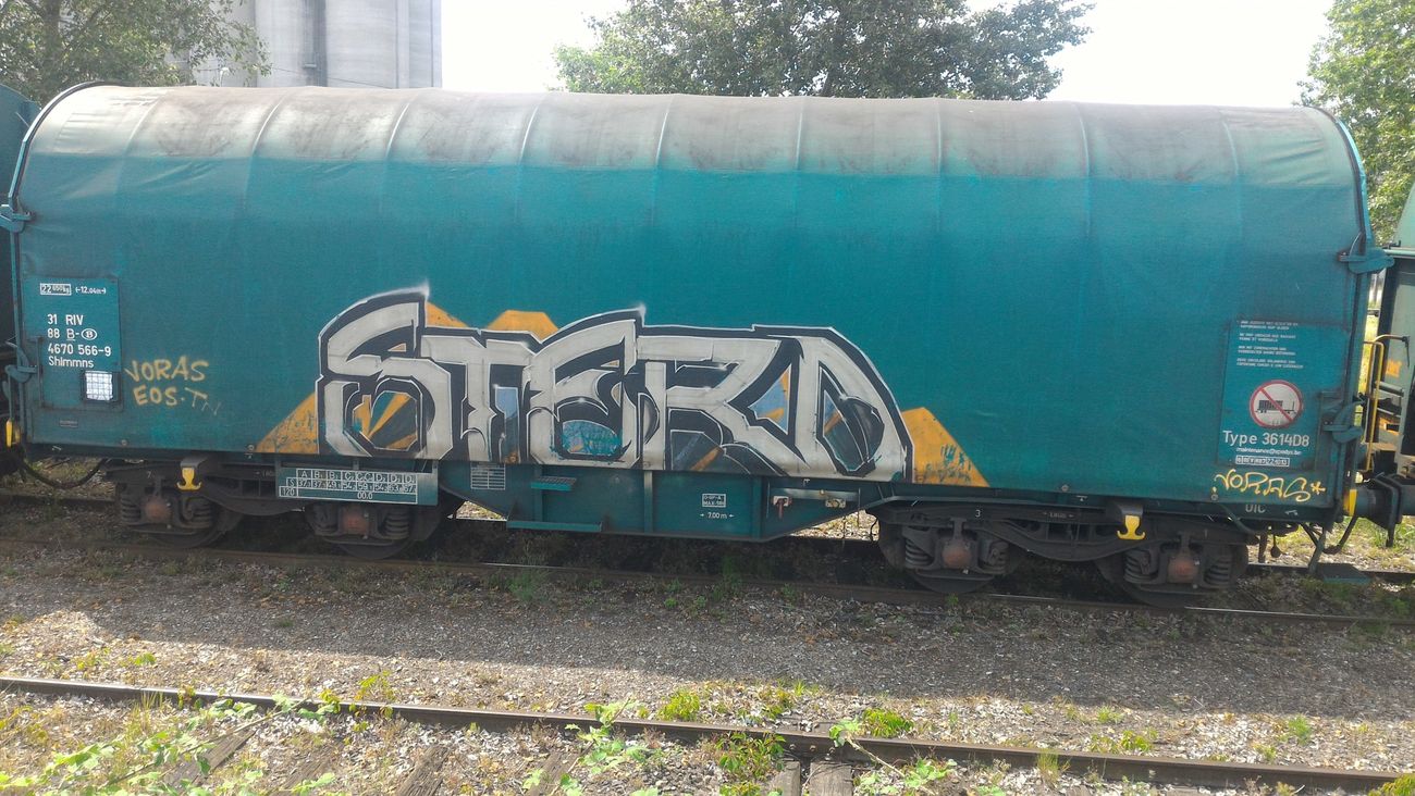 Photo #190099 by strasbourgraffiti