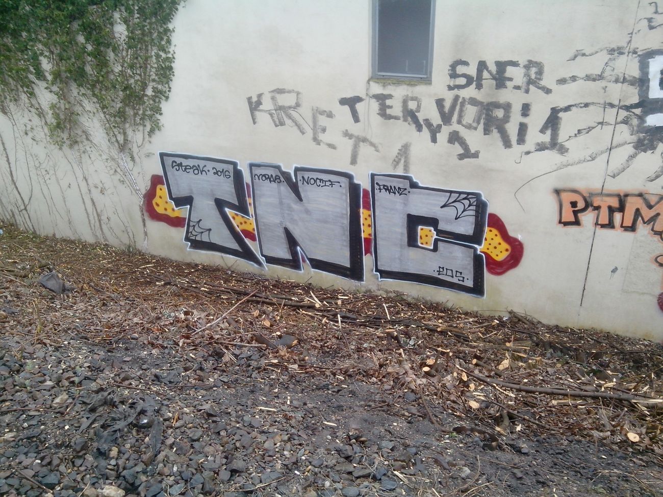 Photo #186022 by strasbourgraffiti