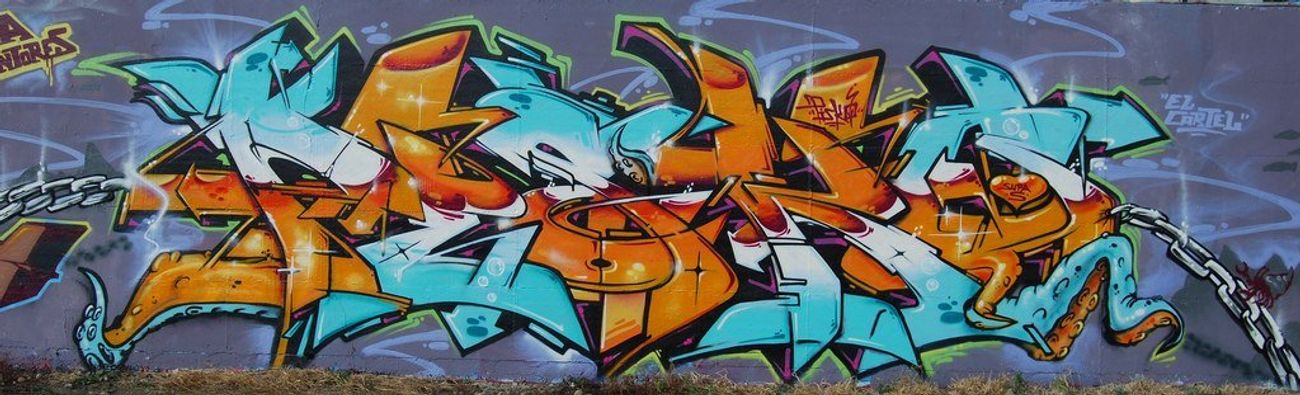 Photo #143151 by strasbourgraffiti