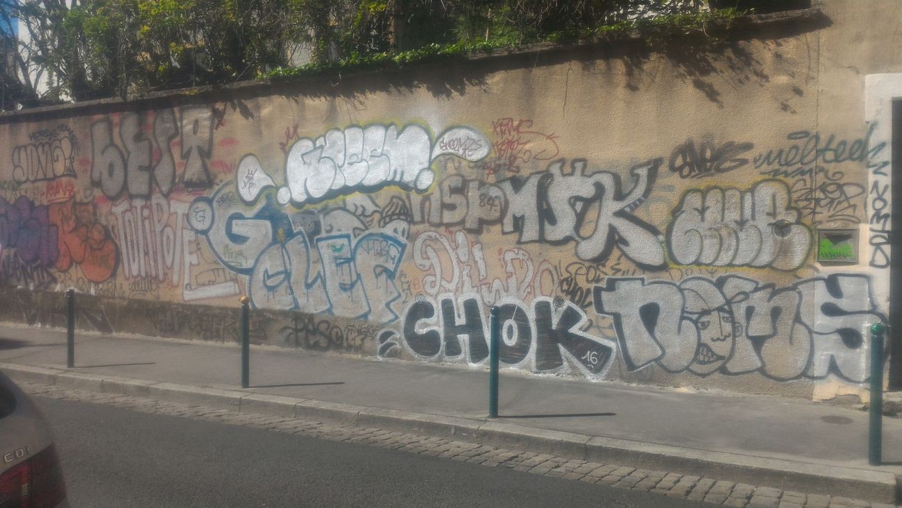 Photo #208222 by strasbourgraffiti