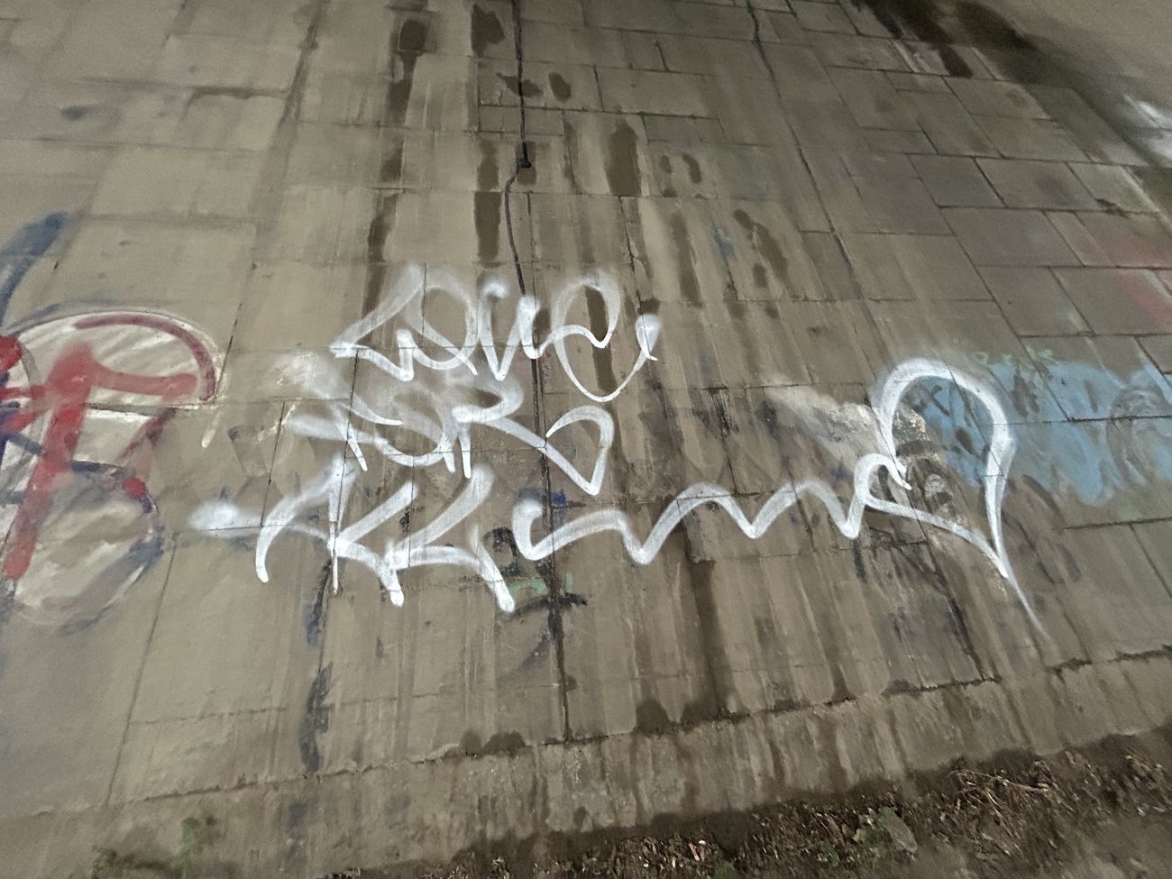 Photo #246514 by whonift