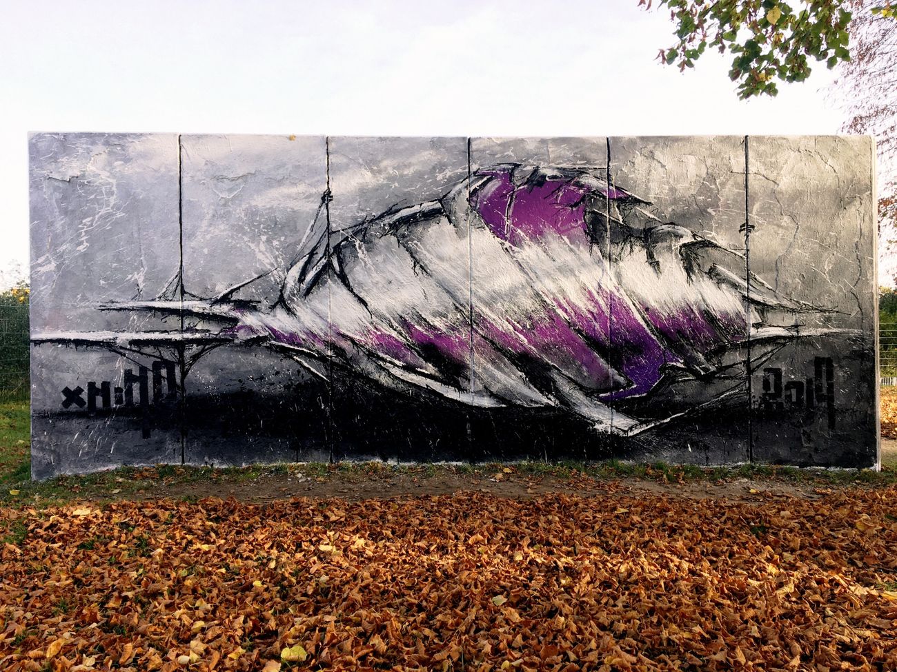 Photo #229273 by x9