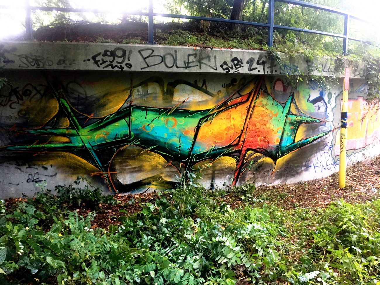 Photo #228975 by x9