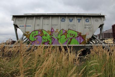 Photo #239173 by 5483r143