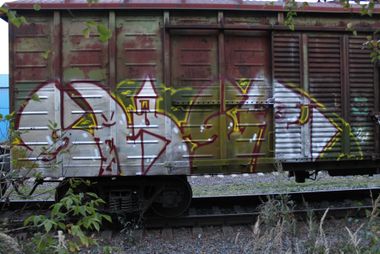 Photo #239181 by 5483r143