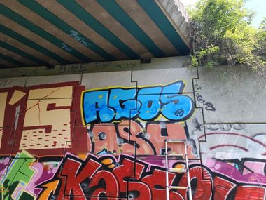 Photo #245576 by AGOS99
