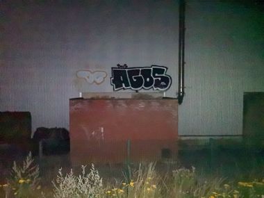 Photo #245904 by AGOS99