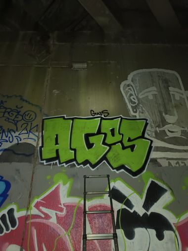 Photo #247383 by AGOS99