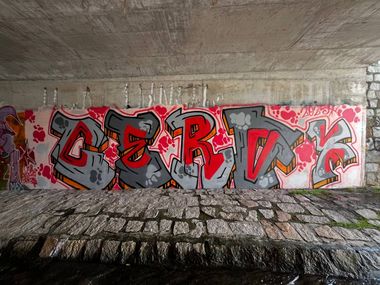 Photo #246332 by Cero