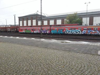 Photo #123588 by Chintz