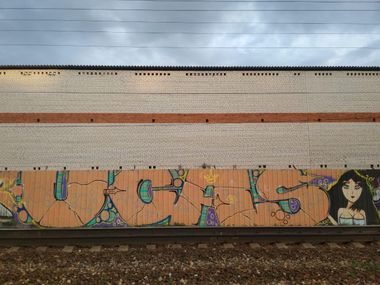 Photo #231870 by Coler
