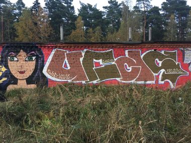 Photo #232433 by Coler