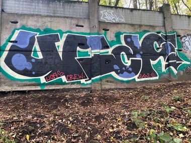 Photo #232431 by Coler