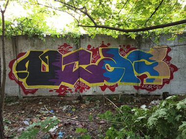 Photo #232241 by Coler