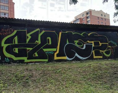 Photo #190831 by Coler