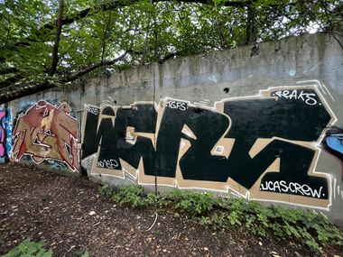Photo #245934 by Coler