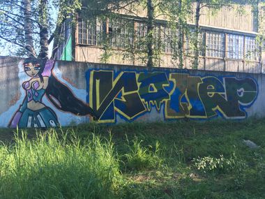 Photo #231771 by Coler