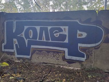 Photo #235101 by Coler