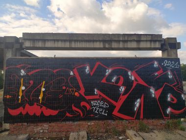 Photo #234435 by Coler