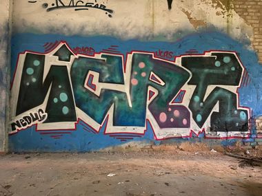 Photo #246112 by Coler