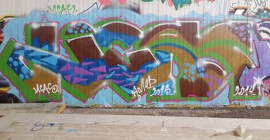 Photo #145311 by Coler