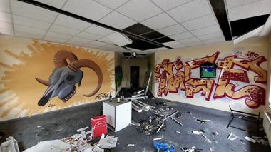 Photo #247469 by DISOE