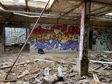 Photo #247448 by DISOE