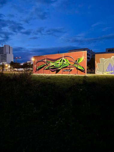 Photo #246279 by Flux55