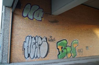 Photo #145031 by GBBI