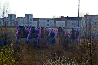 Photo #143975 by GBBI