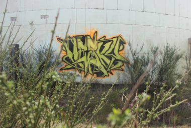 Photo #227374 by Hesky