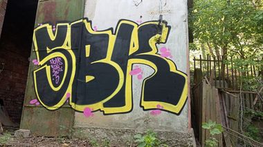 Photo #245202 by Homs